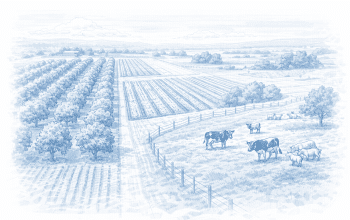 הקצאת קרקע חקלאית שלא בתנאי נחלה