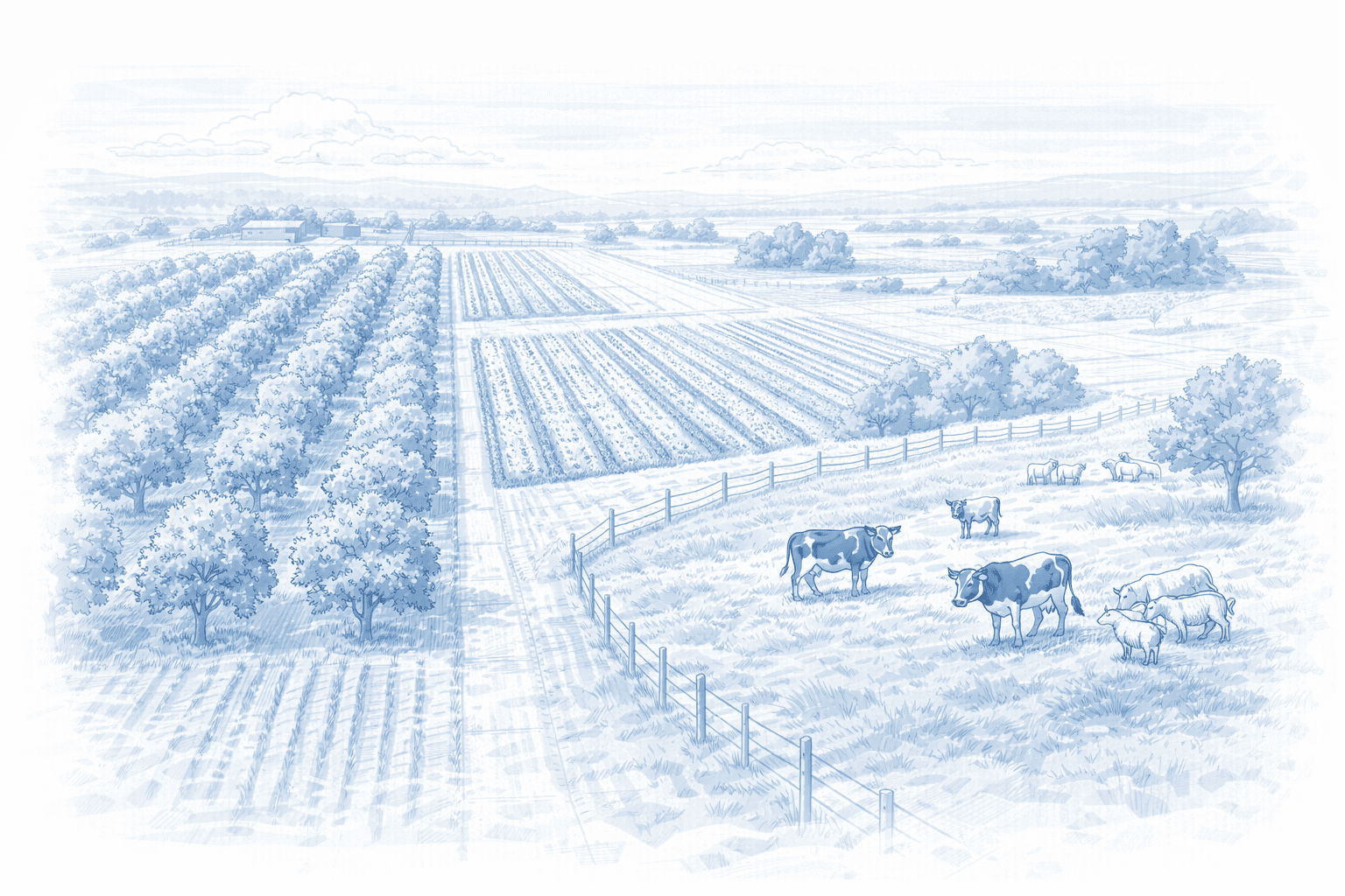 הקצאת קרקע חקלאית שלא בתנאי נחלה